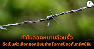 ทำไมลวดหนามล้อมรั้วถึงเป็นตัวเลือกยอดนิยมสำหรับการป้องกันทรัพย์สิน