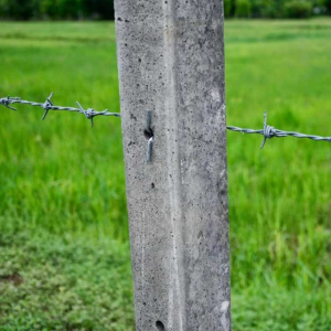 กิ๊บลวดหนาม ตัวV รูป5