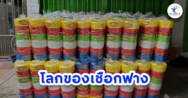 โลกของเชือกฟาง