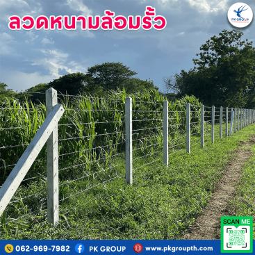 การใช้ลวดหนามในเขตชุมชน: การสร้างความปลอดภัยร่วมกัน-2