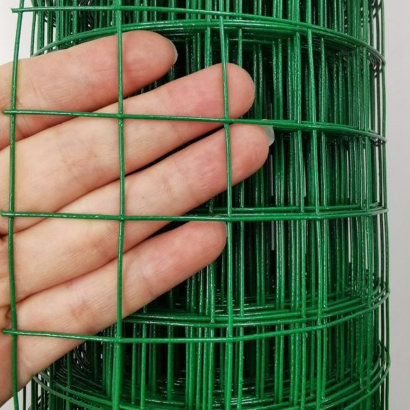 ลวดตาข่าย ชุบ PVC สีเขียว MT ฟ้า รูป2