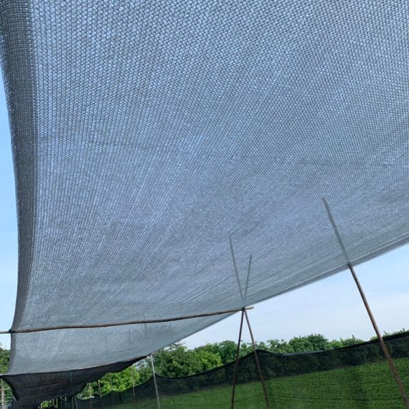 ตาข่ายกรองแสง สีดำ 50% ตรานกนางแอ่น รูป3
