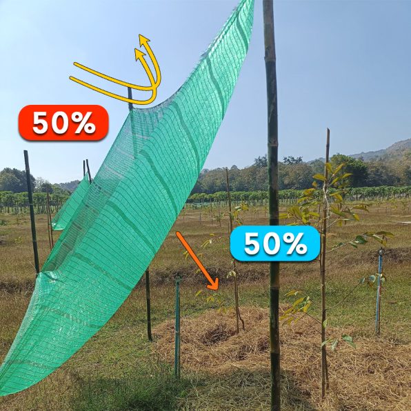 ตาข่ายกรองแสง สีเขียว 50% ตรานกนางแอ่น รูป3