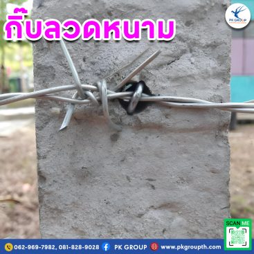 กิ๊บลวดหนาม รูป2