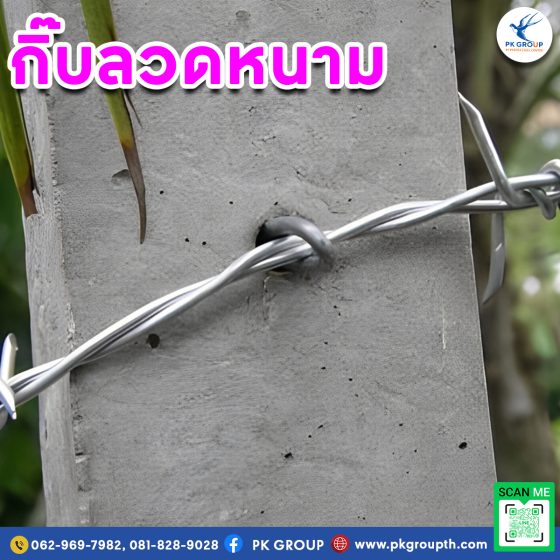 กิ๊บลวดหนาม รูป3