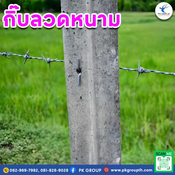 กิ๊บลวดหนาม รูป4