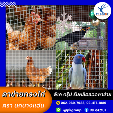 ลวดตาข่ายกรงไก่