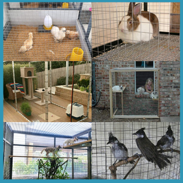 การใช้งานลวดตาข่ายกรงไก่