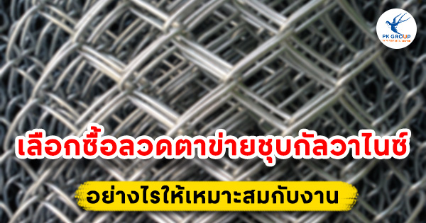 เลือกซื้อลวดตาข่ายชุบกัลวาไนซ์ (Galvanized Wire Mesh) อย่างไรให้เหมาะสมกับงาน