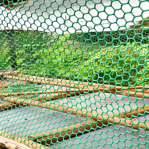 ตาข่ายหกเหลี่ยม PVC สีเขียว รูป4