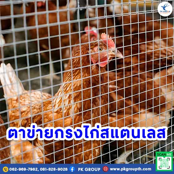 ตะแกรงสแตนเลส: ตาข่ายกรงไก่ ลวดตาข่ายถัก ตะแกรงสาน และตะแกรงอาร์ค-2