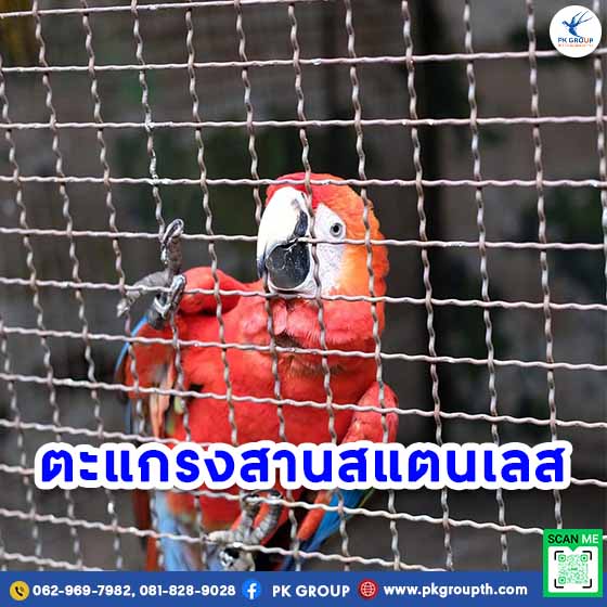 ตะแกรงสแตนเลส: ตาข่ายกรงไก่ ลวดตาข่ายถัก ตะแกรงสาน และตะแกรงอาร์ค-4