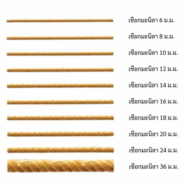 เชือกมะนิลา เชือกมนิลา รูป3