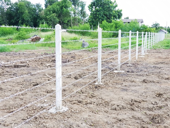 รั้วลวดหนาม2